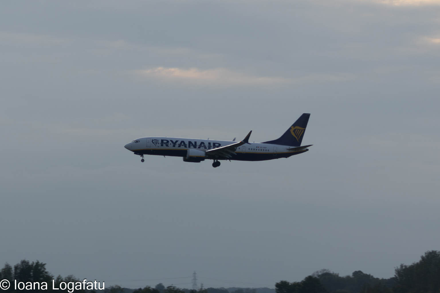 Plane landing at airport in cloudy sky